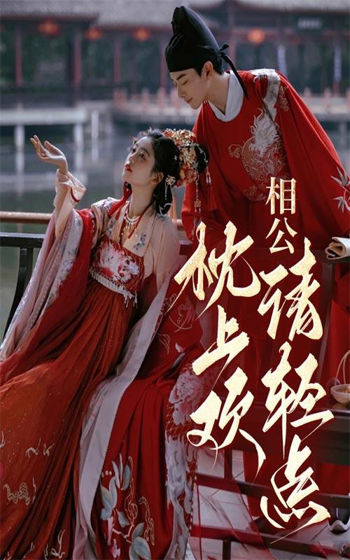 枕上欢：相公，请轻点封面图