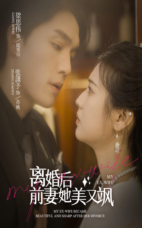 离婚后前妻她又美又飒封面图