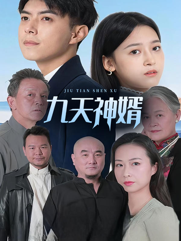 九天神婿封面图
