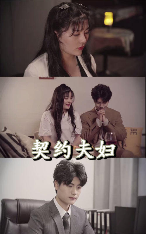 契约夫妇封面图