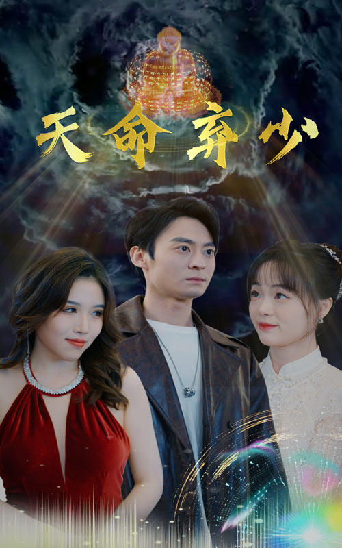 天命弃少封面图