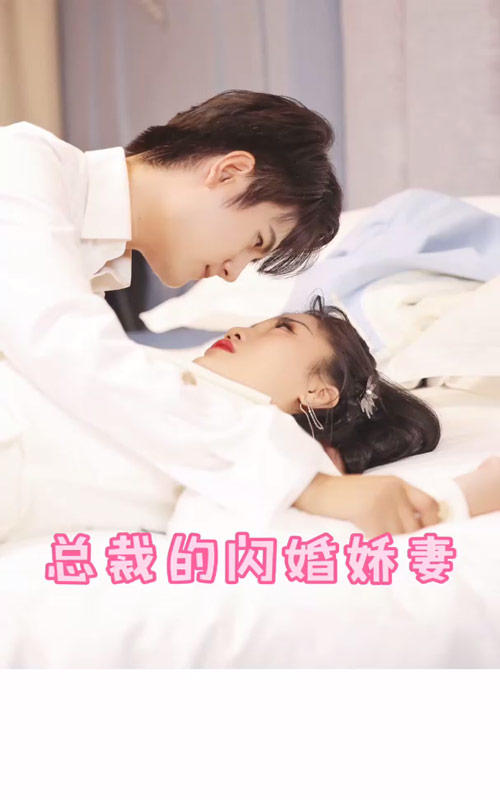 总裁的闪婚娇妻封面图