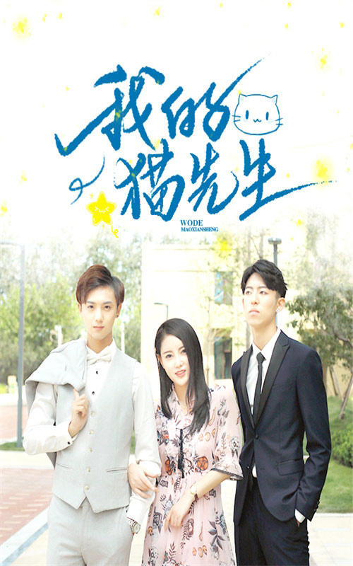 我的猫先生封面图