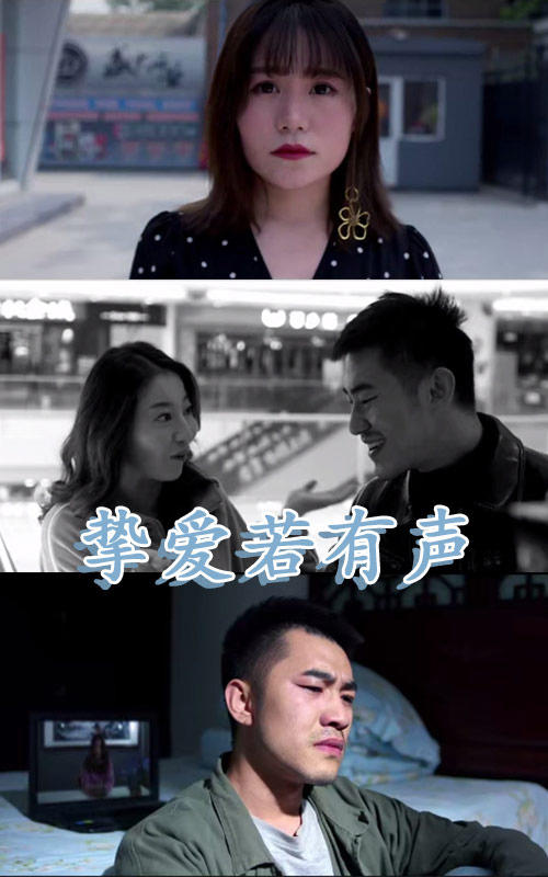 挚爱若有声封面图