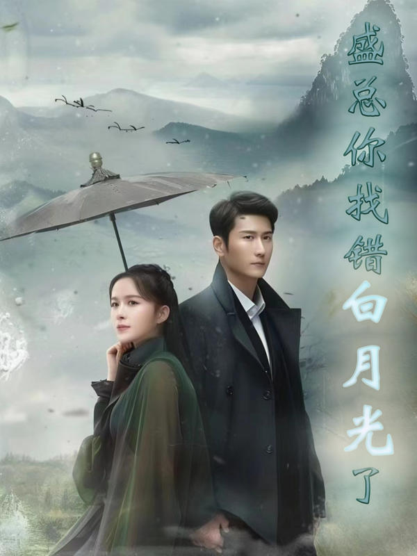 盛总你找错白月光了封面图