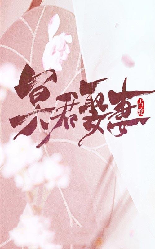 冥君娶妻封面图