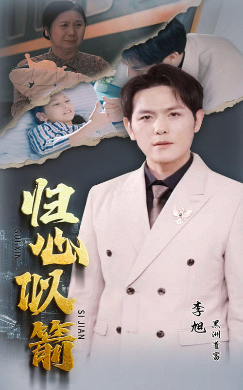 归心似箭封面图