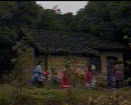 金童玉女封面图