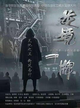 逆境王牌封面图