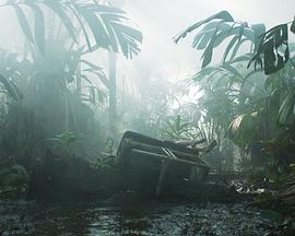 穿越亚马逊封面图