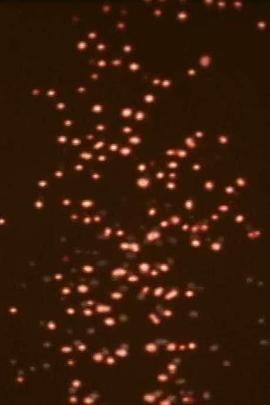 印刷时代封面图