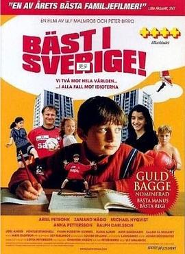 我要飞翔封面图