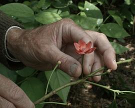 7 promenades avec Mark Brown封面图
