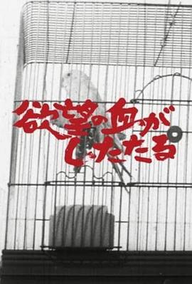 欲望之血正在滴落封面图