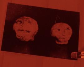 Hexham Heads封面图