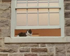 为何我永不信任你封面图