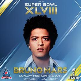 Super Bowl XLVIII Halftime Show封面图