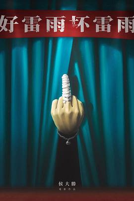 好雷雨坏雷雨封面图