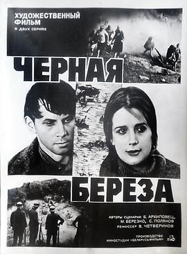 黑色的白桦树封面图