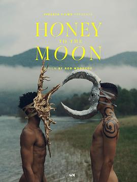 月球爱人封面图