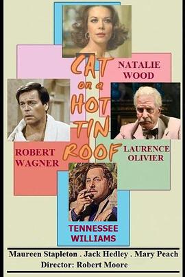 热铁皮屋顶上的猫封面图