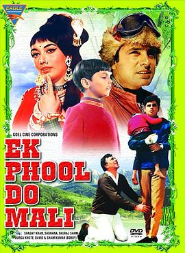 爱的火山封面图