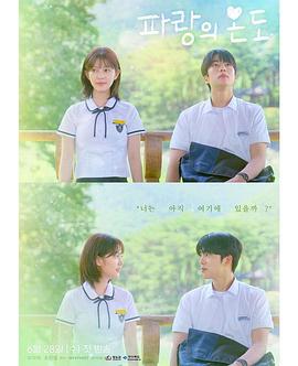 波浪的温度封面图