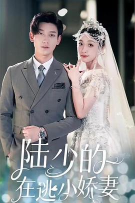 陆少的在逃小娇妻封面图