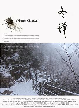 冬蝉封面图
