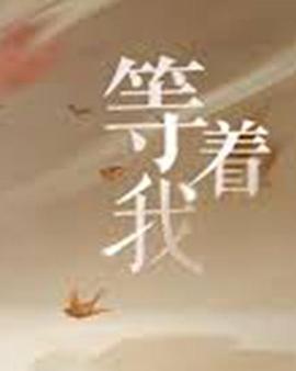 等着我 第二季封面图