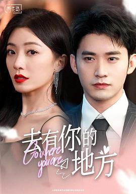 去有你的地方封面图