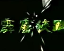 霹雳侠踪封面图