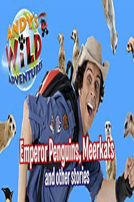 安迪的荒野大冒险封面图