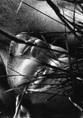 Мочебуйцы-труполовы封面图