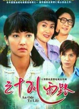 三十风雨路封面图