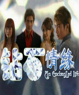 钻石情缘封面图