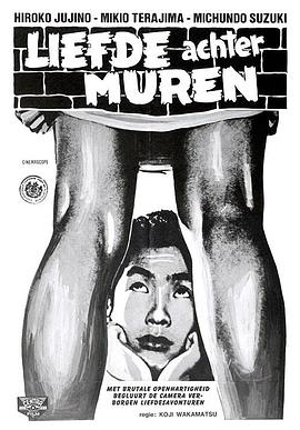 墙中秘密封面图