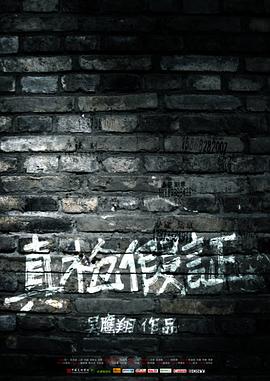 真枪假证封面图