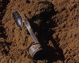 短版熊崽封面图