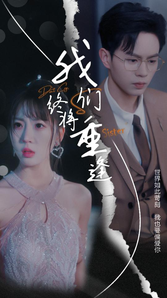 我们终将重逢封面图