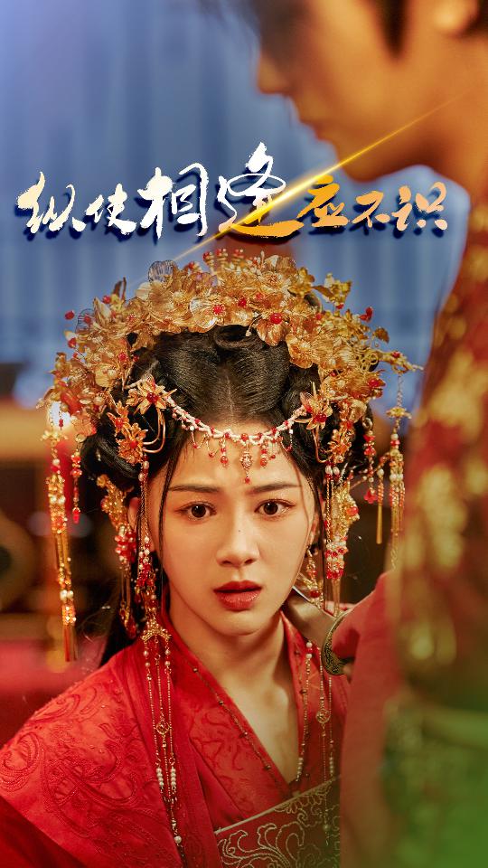 纵使相逢应不识封面图