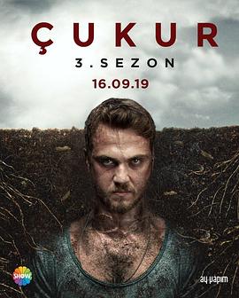 坑 第三季封面图