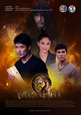 那迦之火封面图