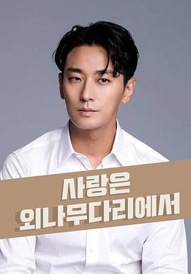 爱在独木桥封面图