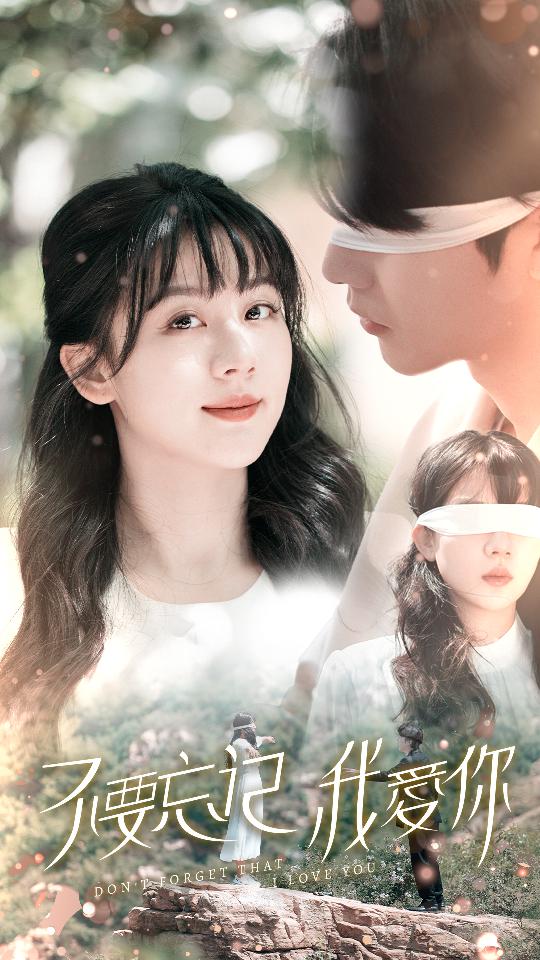 不要忘记我爱你封面图
