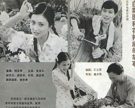 白菜园和花神庙的故事封面图