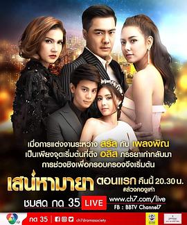 玛雅亲情封面图