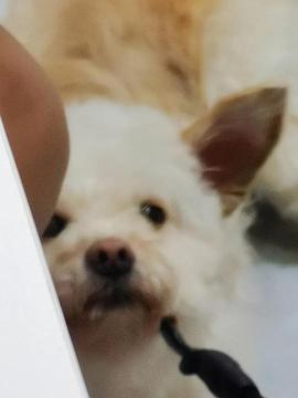 幸福料理封面图