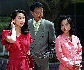 暴风的季节封面图