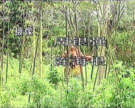 双枪唐白梅封面图